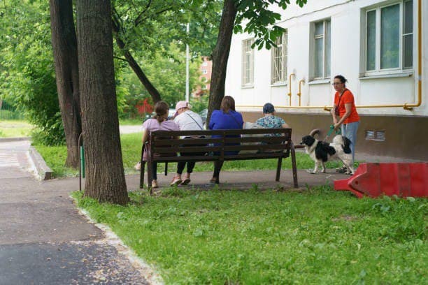 На скамейке возле дома где все так давно знакомо слушать